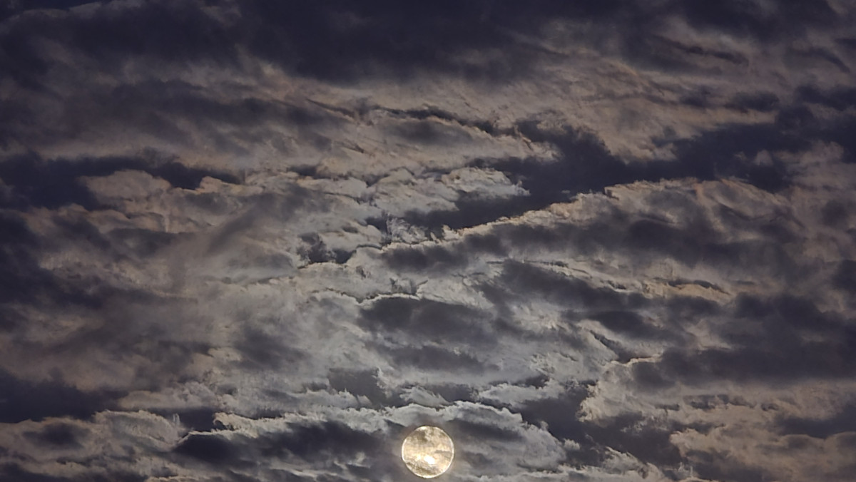 lua