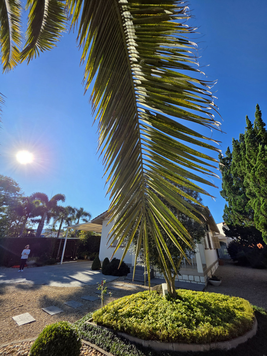 guabiruba