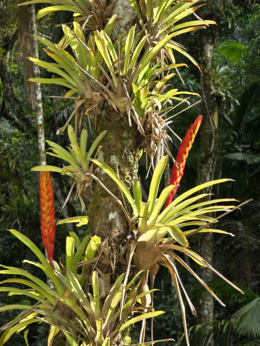 parque das grutas