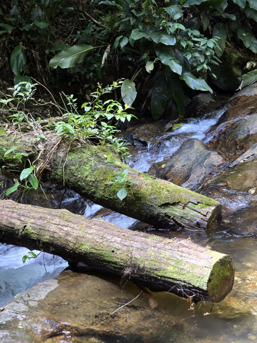 parque das grutas