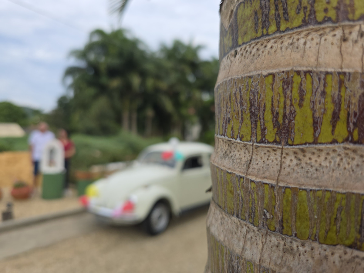 fusca