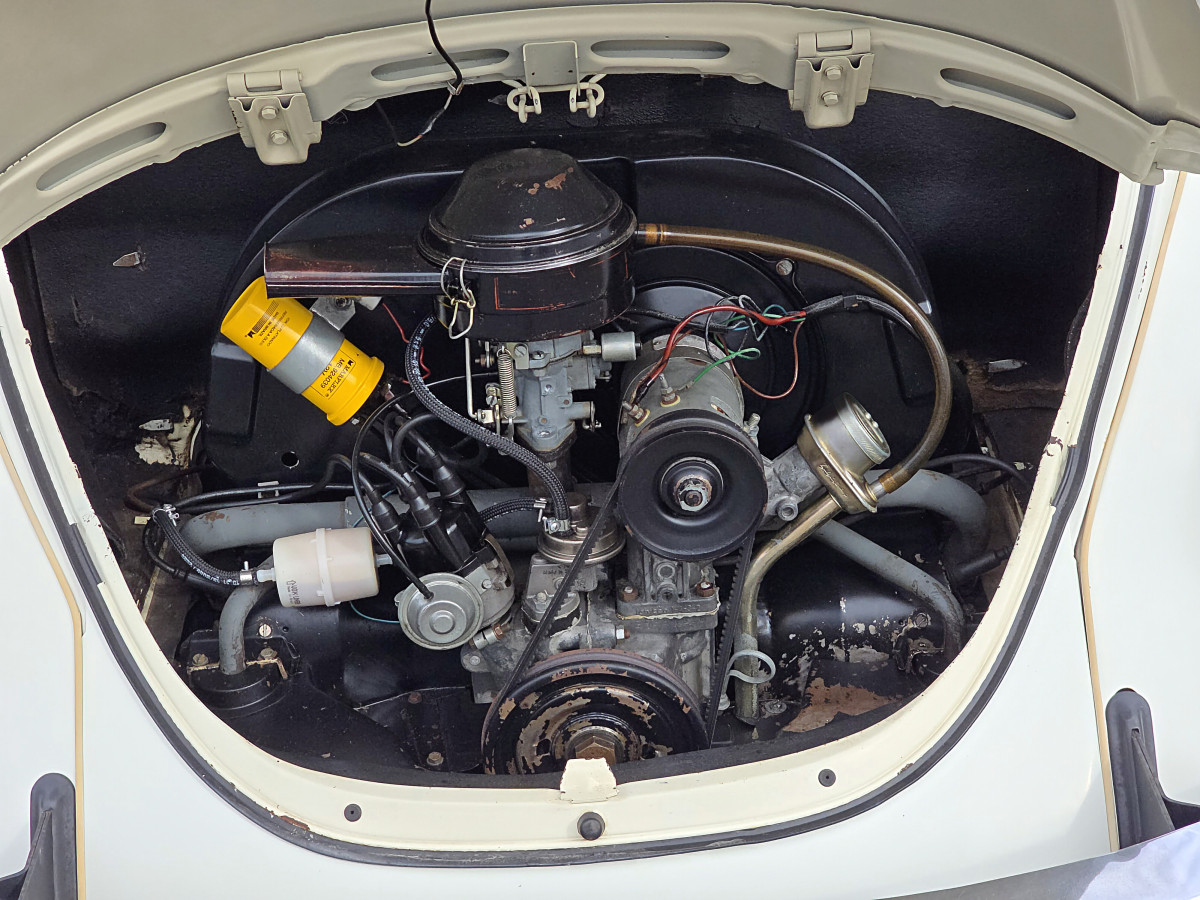 fusca