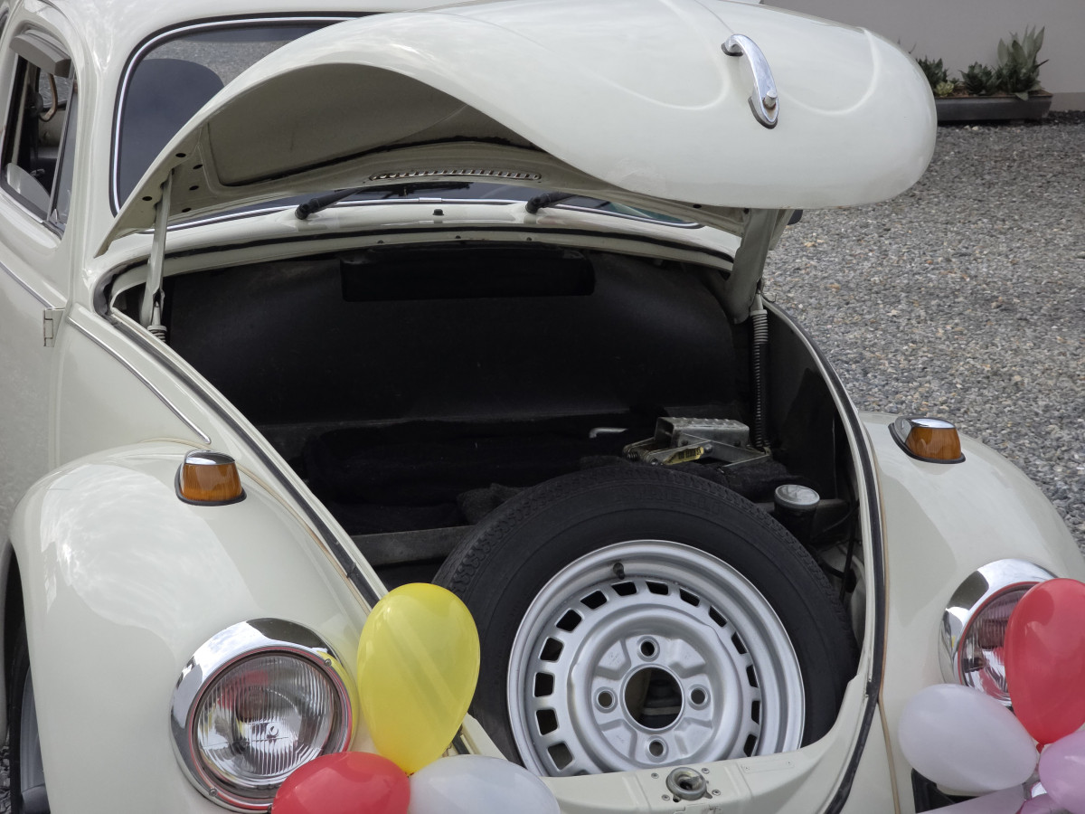 fusca