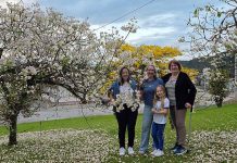 Primavera transforma quintal em atração a céu aberto em Guabiruba