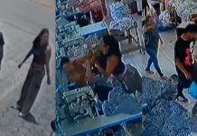 VÍDEO – Câmera registra agressão de jovem contra a própria mãe em local de trabalho em Brusque