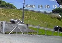 VÍDEO – Carro despenca de viaduto e vai parar no meio da rua em Blumenau Blumenau