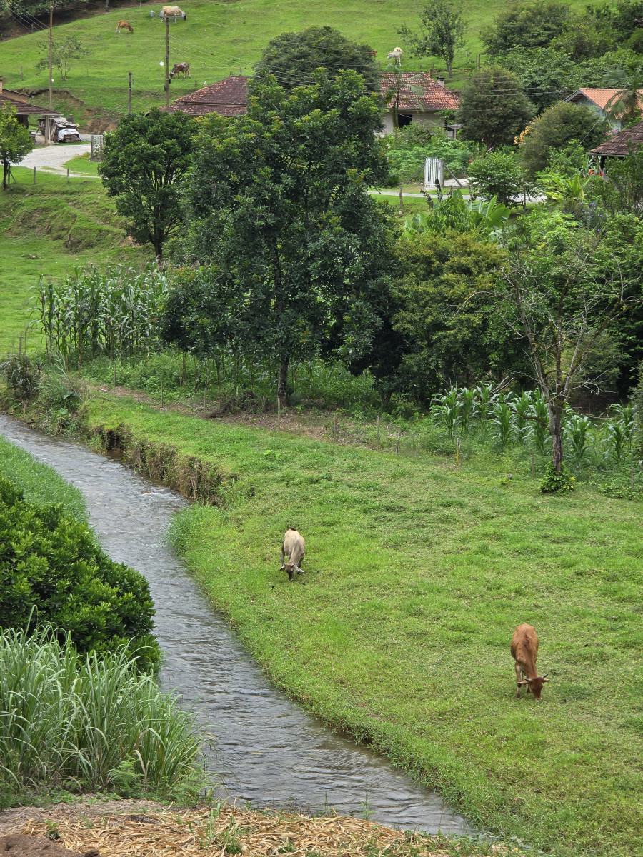 botuverá