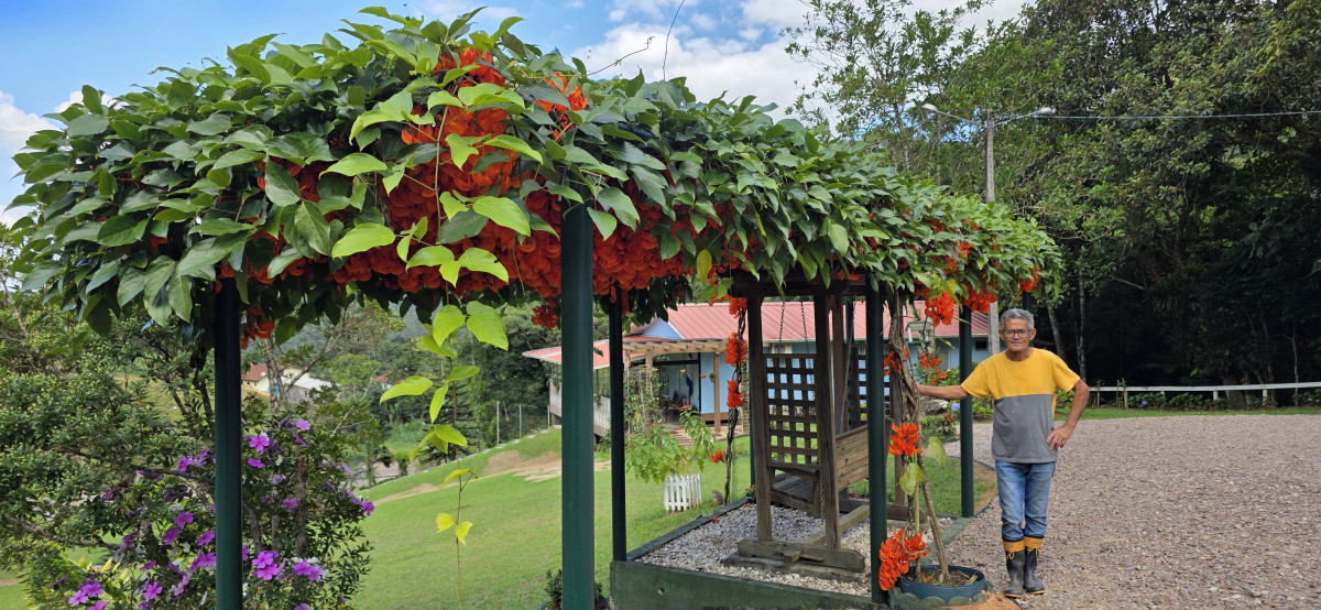 guabiruba