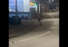 VÍDEO – Imagens mostram motorista envolvido em acidente fatal no Limeira, em Brusque, correndo na rua após colidir contra muro Brusque