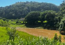 Homem é encontrado morto no rio Itajaí-Mirim, em Brusque