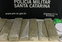 Posse de maconha: decisão do STF não altera volume de ocorrências em Brusque
