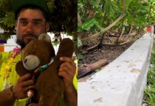 praça Barão de Schneeburg