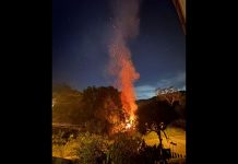 VÍDEO – Homem coloca fogo em área de mata em Guabiruba; câmera flagra crime