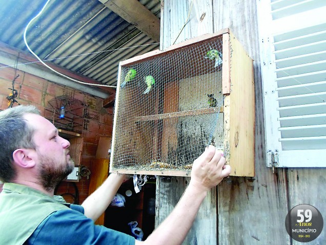 Fiscalização ocorreu após denúncias da população