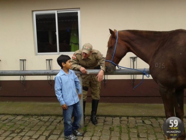 Os nove animais, seis em Florianópolis e outros três em Lages, foram entregues oficialmente a Orionópolis Catarinense