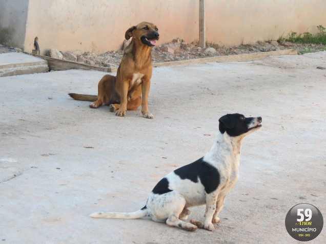 As inscrições acontecem nos dias 16 a 24 de setembro