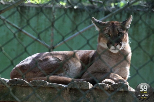 Zoobotânico compreende um complexo de 120.000 m² em meio à mata nativa
