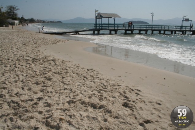 Águas-vivas foram identificadas na Praia de Canasvieiras, em Florianópolis