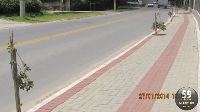 Mudas plantadas no bairro São Pedro foram quebradas