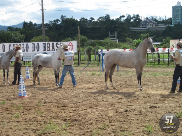 III Expo Brusque Mangalarga Marchador